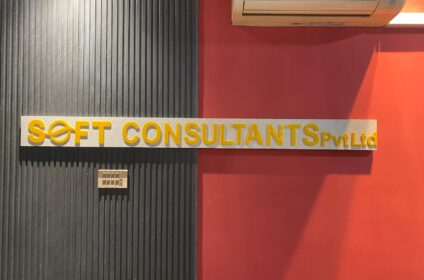soft consultants