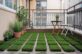 Natural Green Grass For Garden